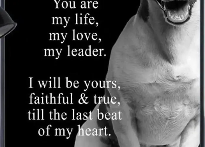 公寓 Mono Dd Checkin A Richiesta *